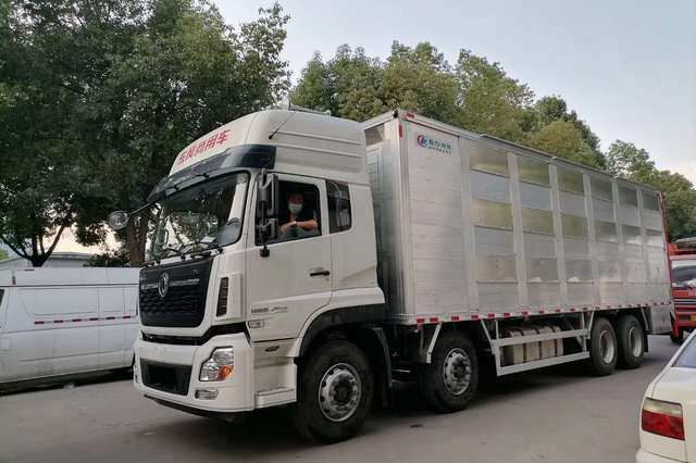随州吃瓜91
哪一种吃瓜91型滞销